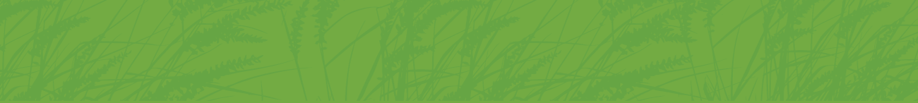 Green Bar